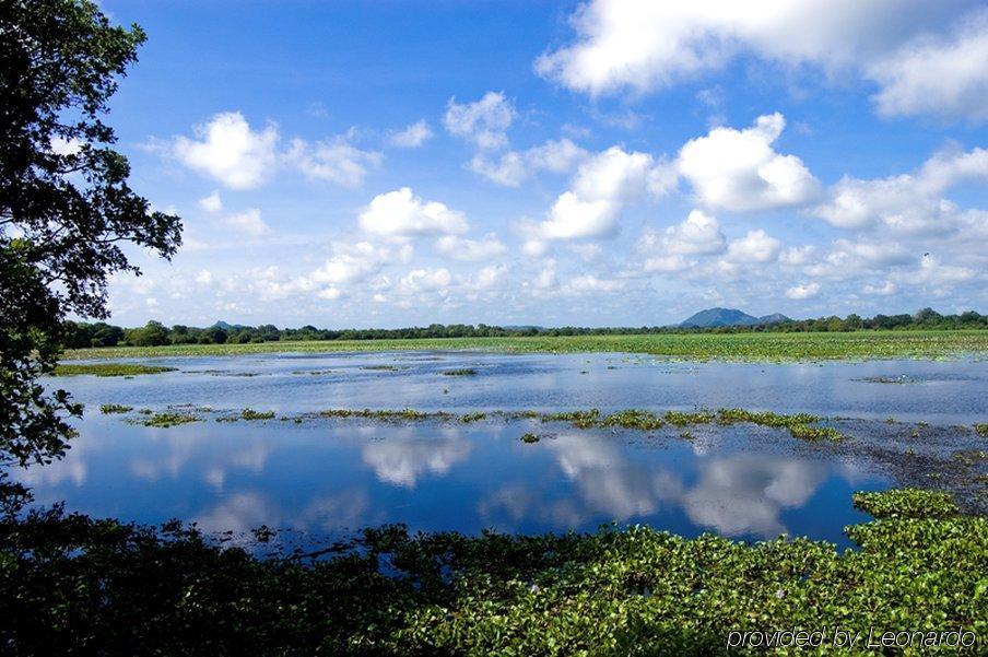 Uga Ulagalla - Anuradhapura Sigiriya Tiện nghi bức ảnh